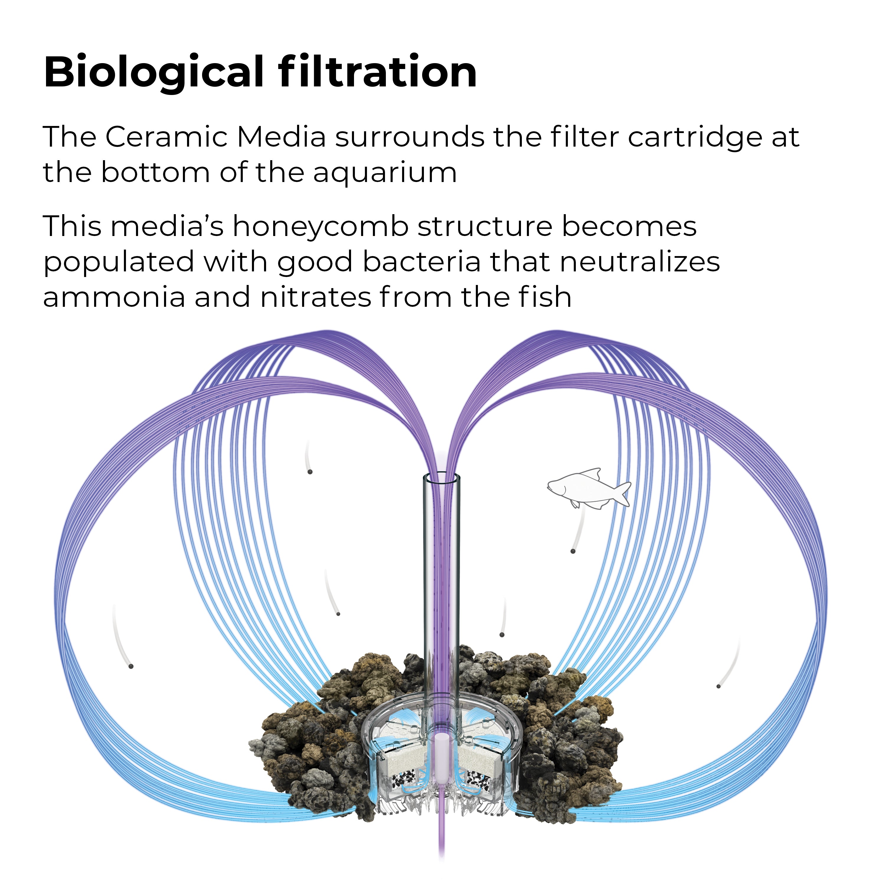 Ceramic Media - Biological filtration