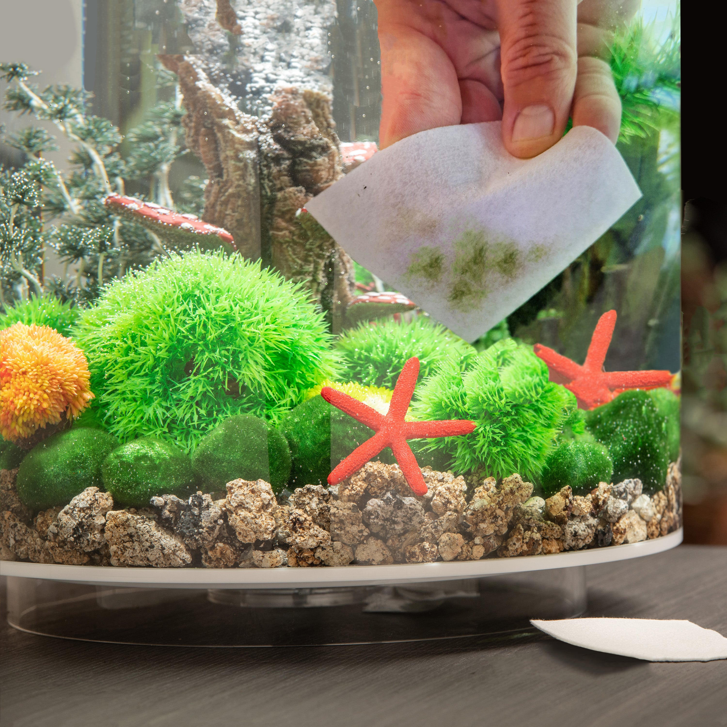 Cleaning Pads In Use