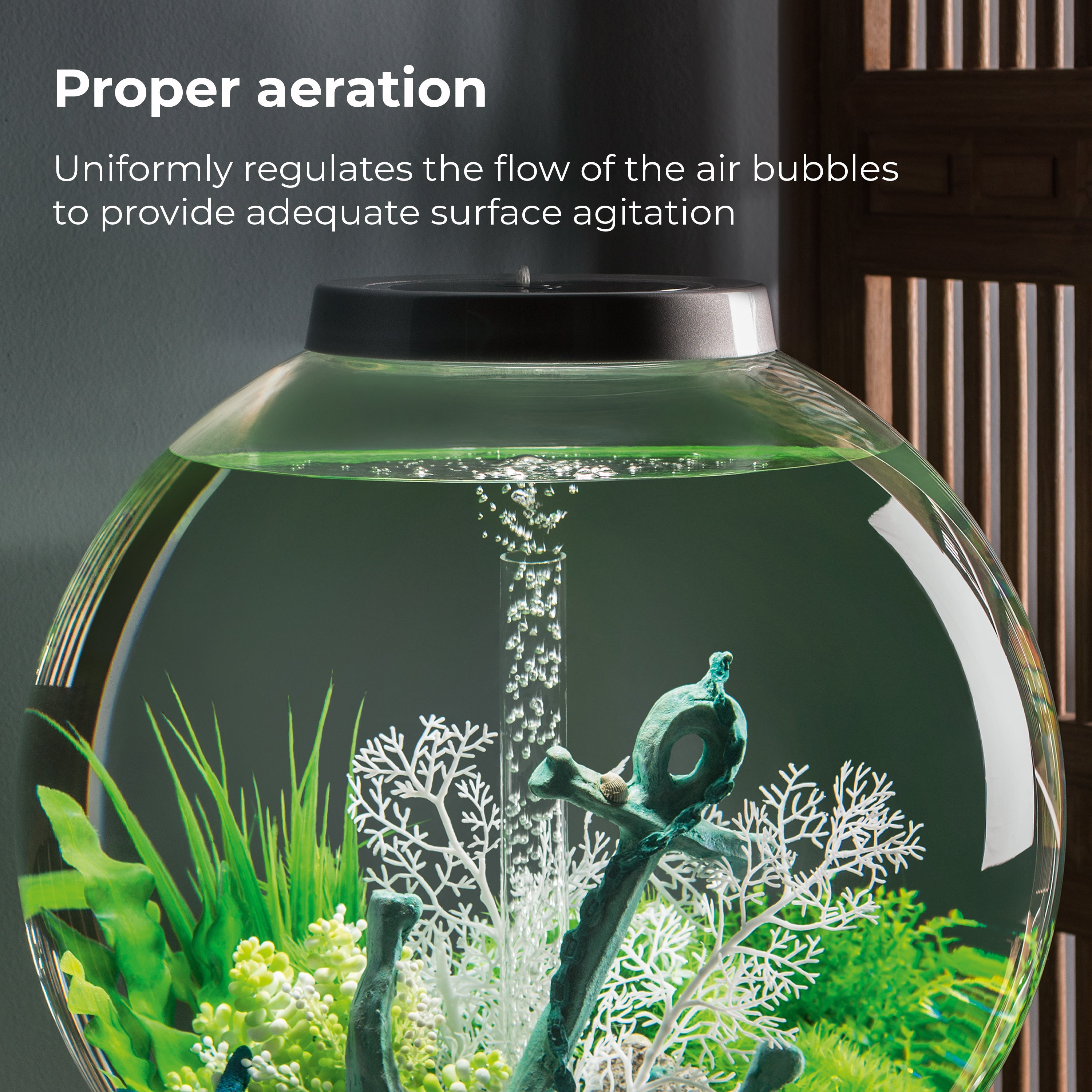 Air Stone - Proper aeration