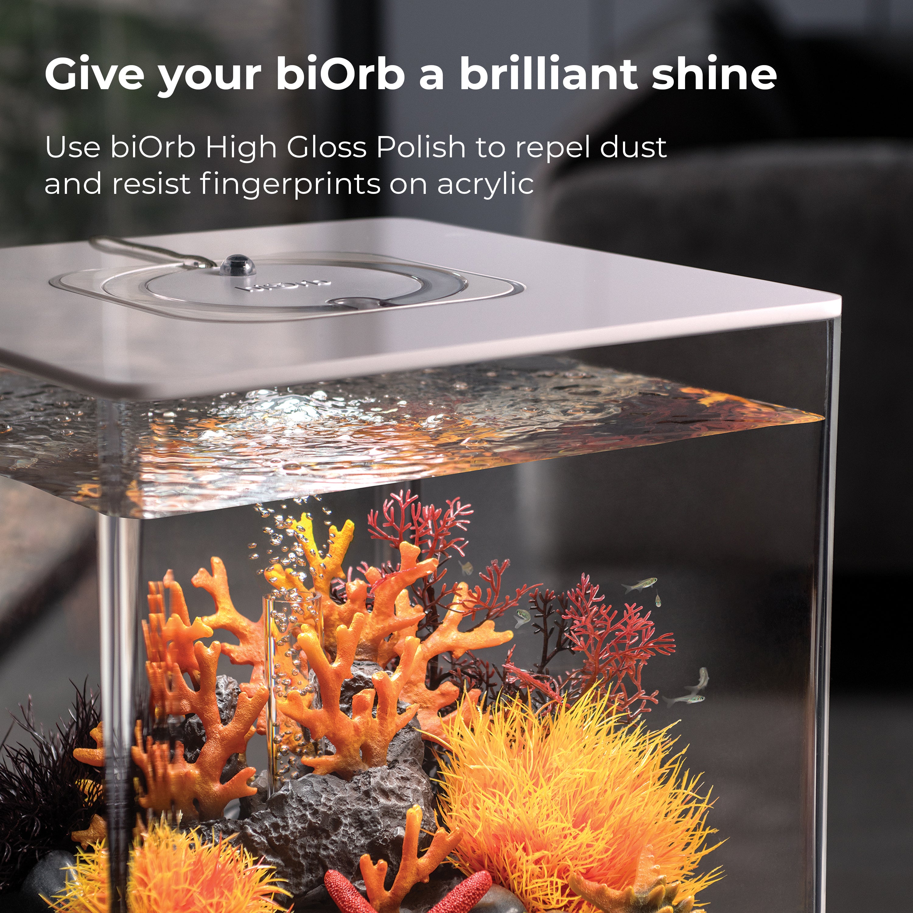 Polish and Cloth Accessory - Give your biOrb a brilliant shine