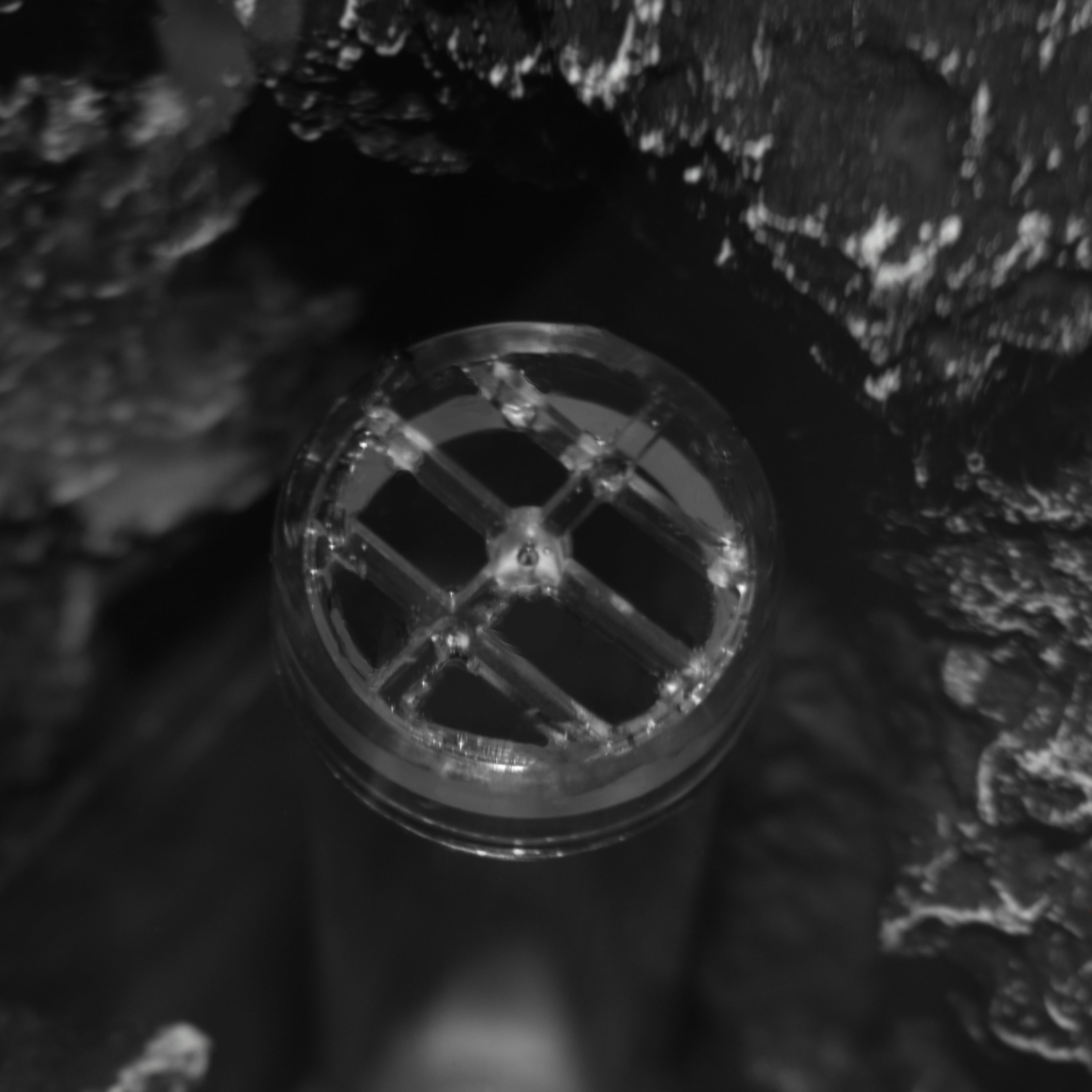 Bubble Tube Guard In Use