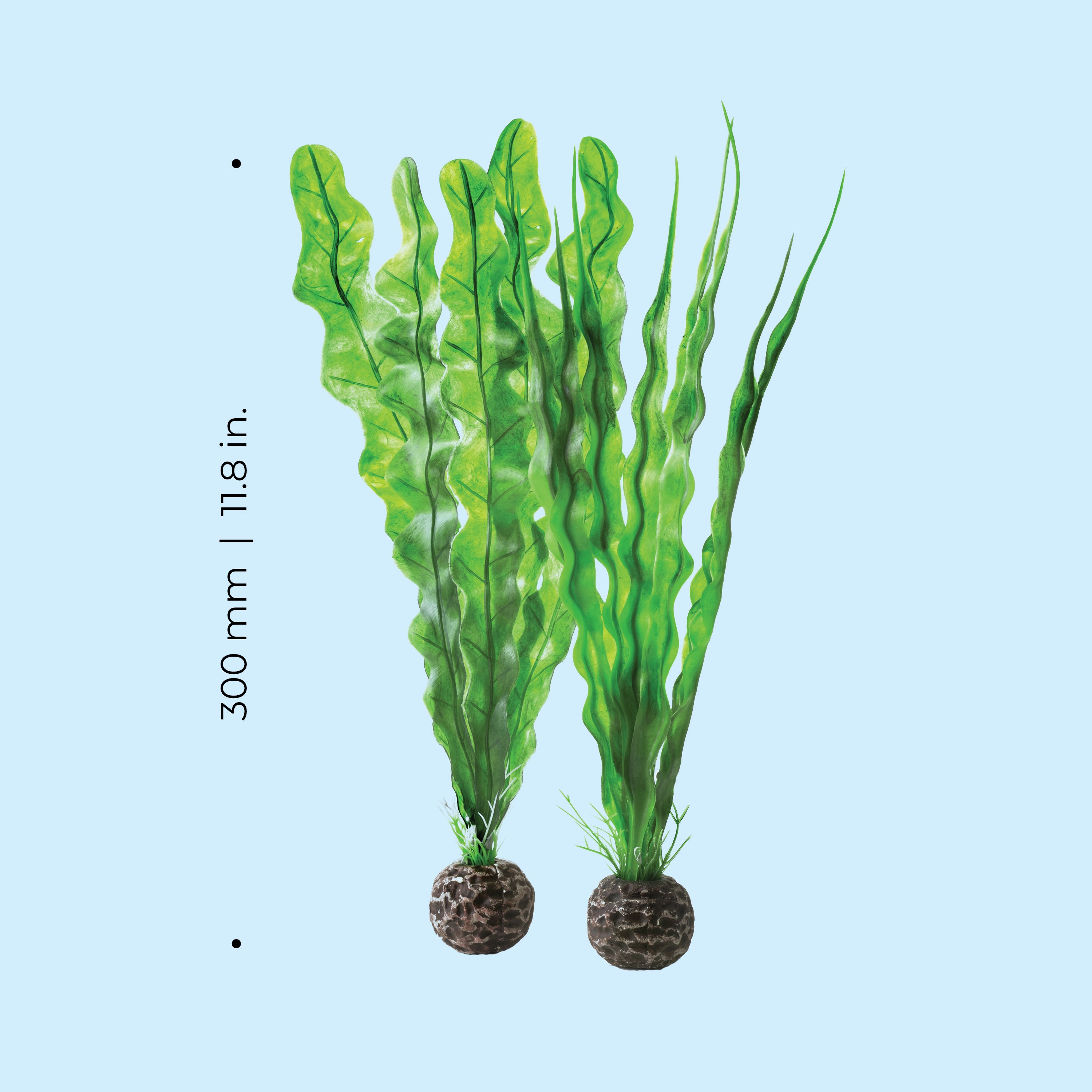 Medium Green Easy Plant Set of 2 Dimensions