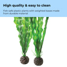 Medium Green Easy Plant Set of 2 - High quality & easy to clean