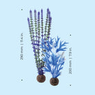 Medium Blue & Purple Plant Set of 2 - Dimensions