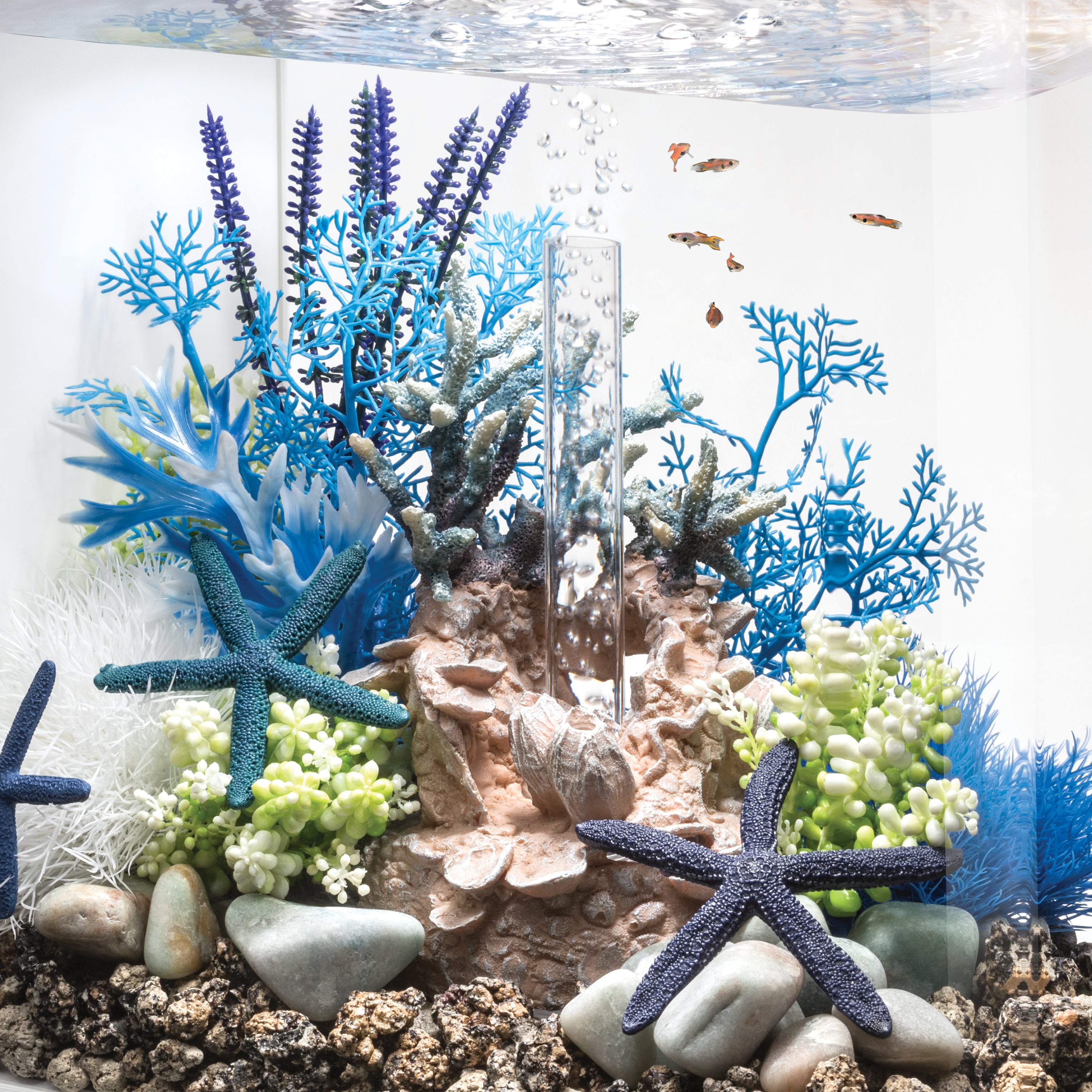 Medium Blue & Purple Plant Set of 2 - In Use