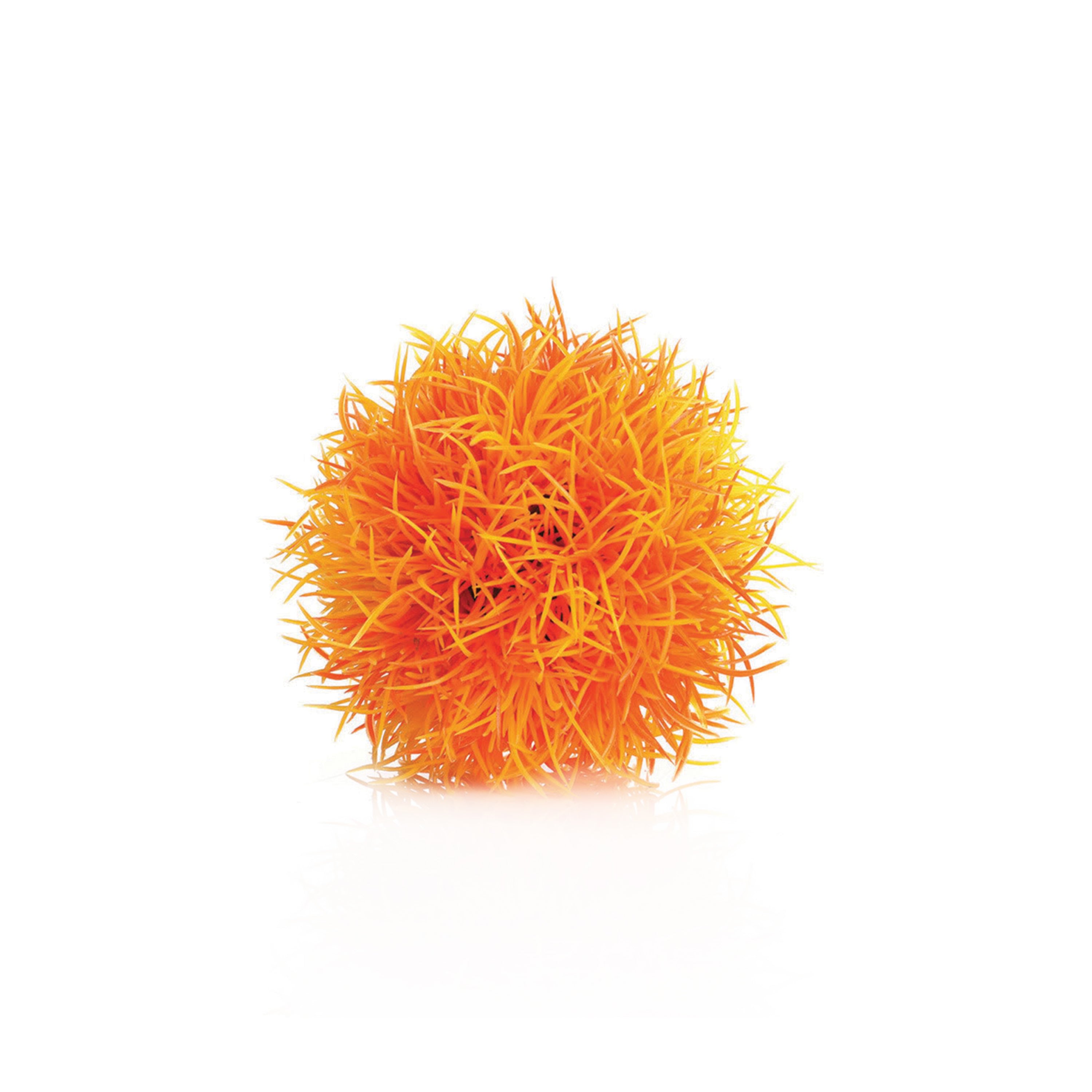 Aquatic Colour Ball - Orange