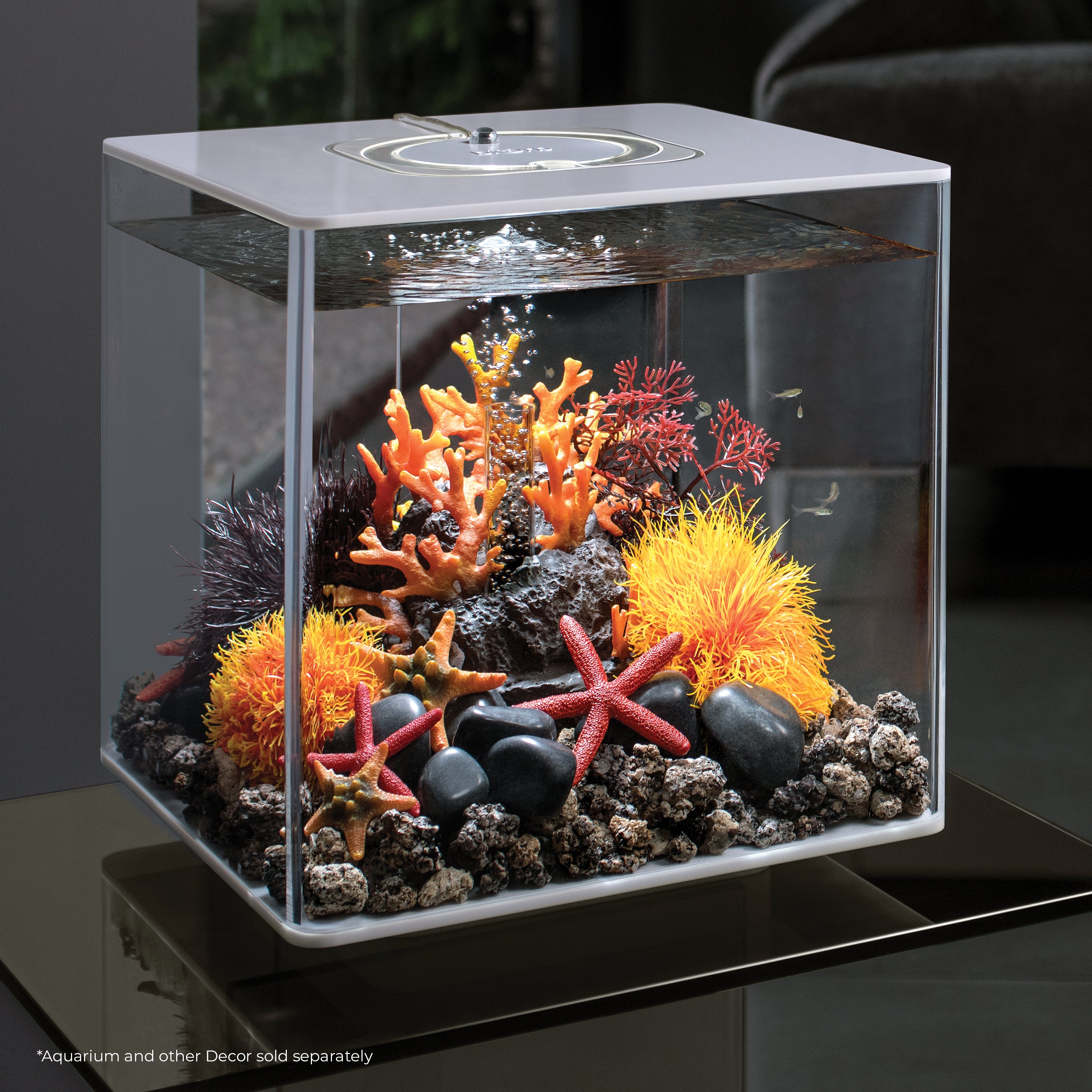 Aquatic Colour Ball In Use