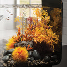 Aquatic Colour Ball - In use