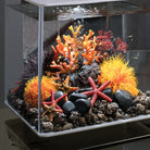 Aquatic Colour Ball - In Use
