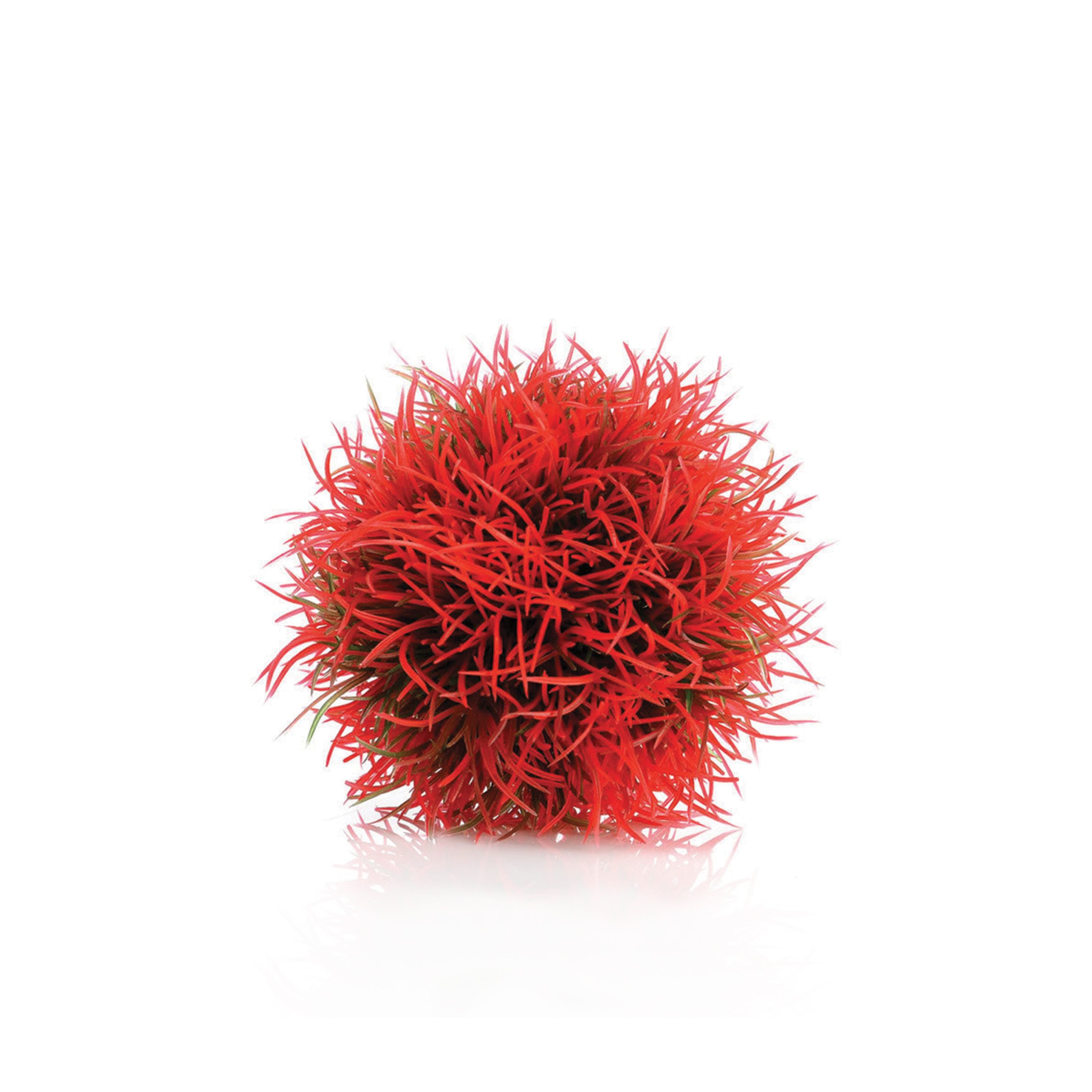 Aquatic Colour Ball - Red