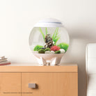 Aquatic Colour Ball In Use