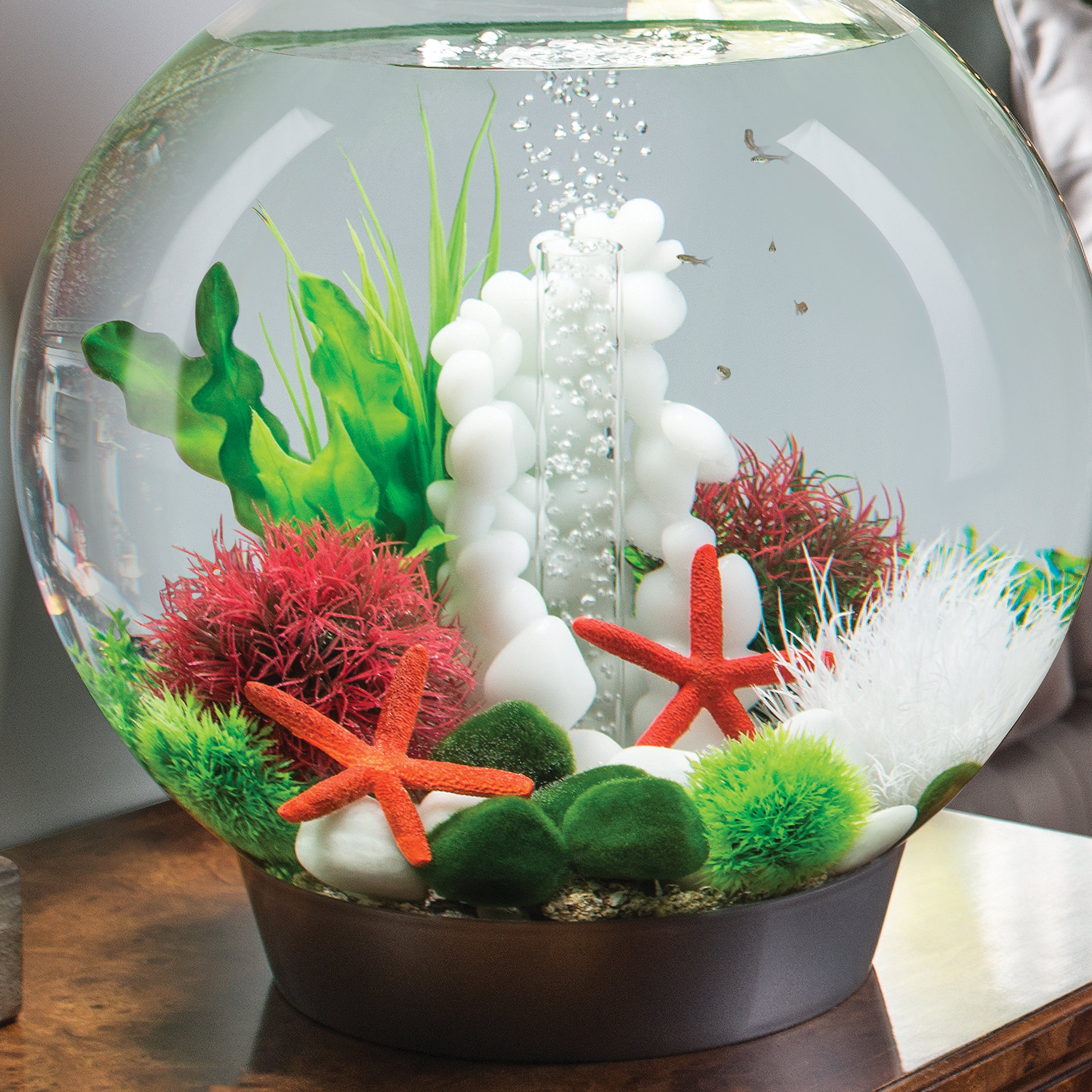 Aquatic Colour Ball - In use