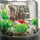 Aquatic Colour Ball - In use