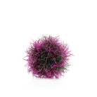 Aquatic Colour Ball - Purple