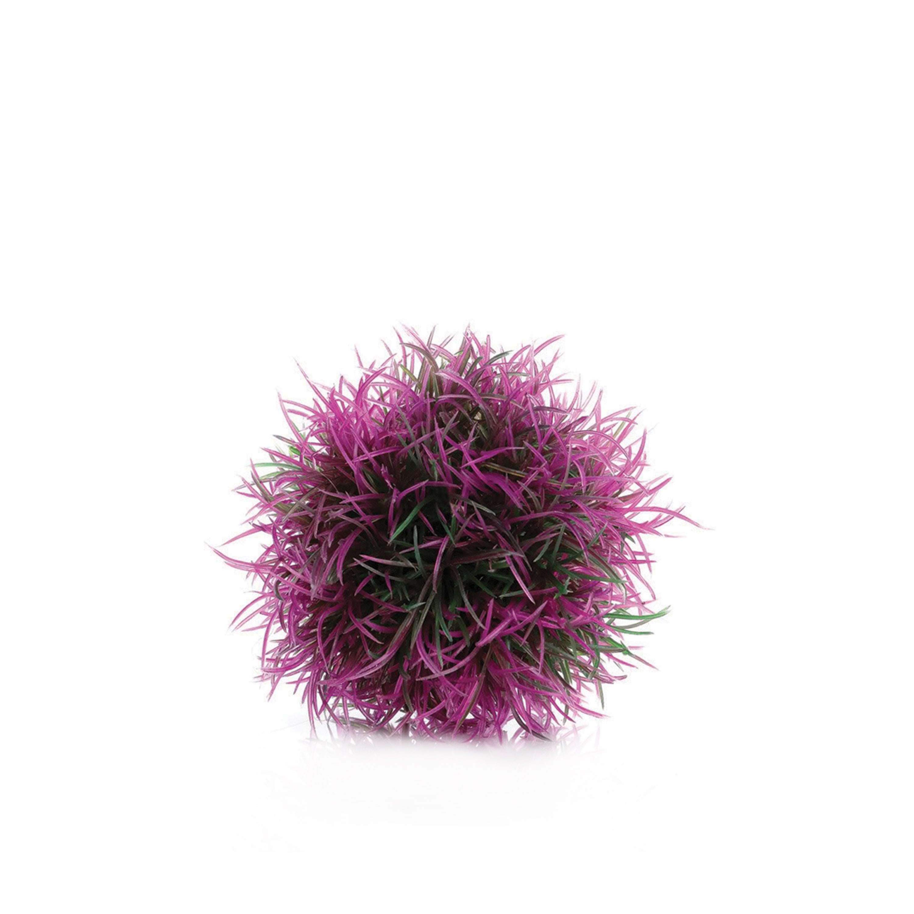 Aquatic Colour Ball - Purple