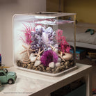 Aquatic Colour Ball In Use