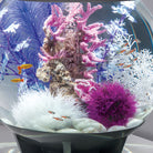 Aquatic Colour Ball - In Use