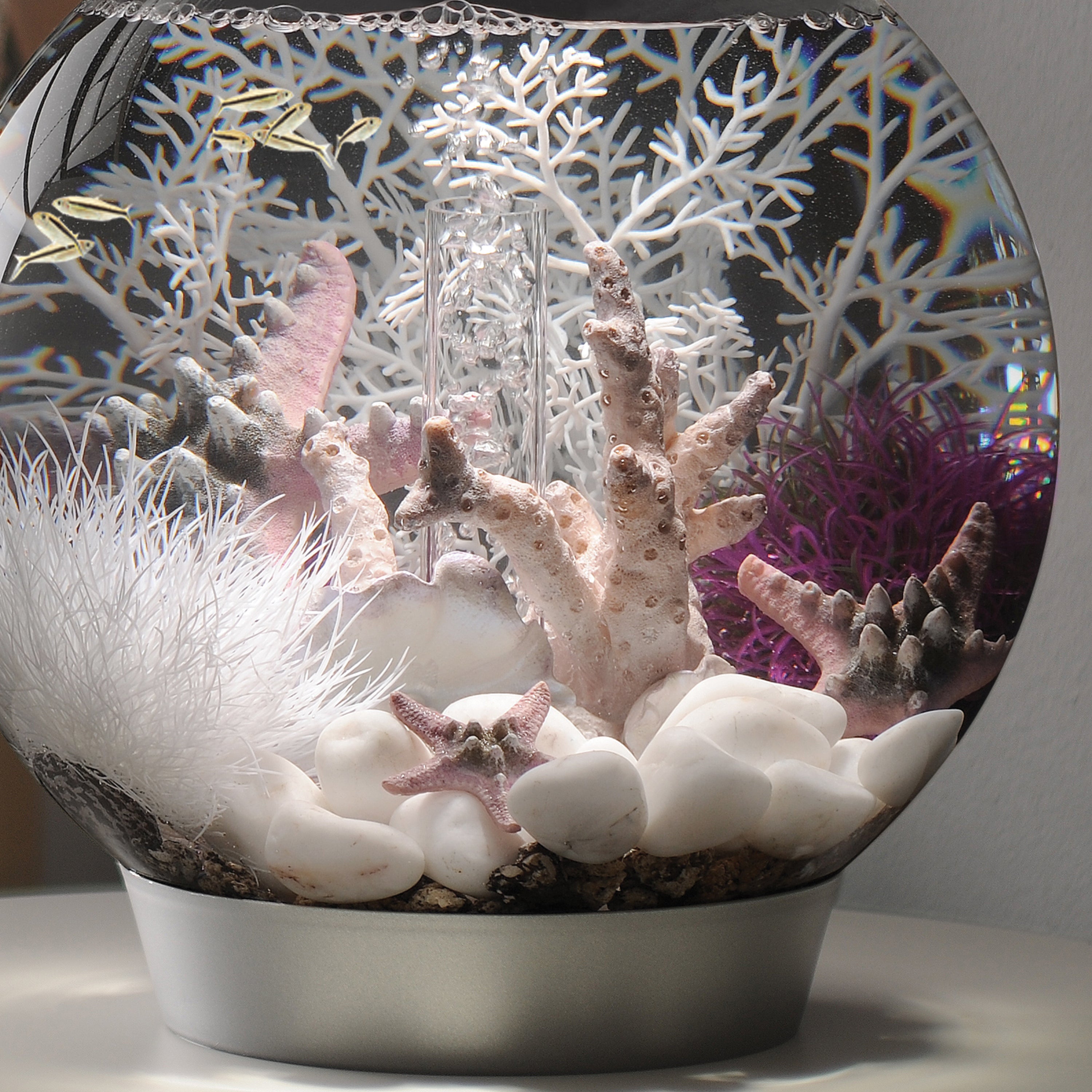 Aquatic Colour Ball - In Use