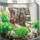 Small Sea Fan In use