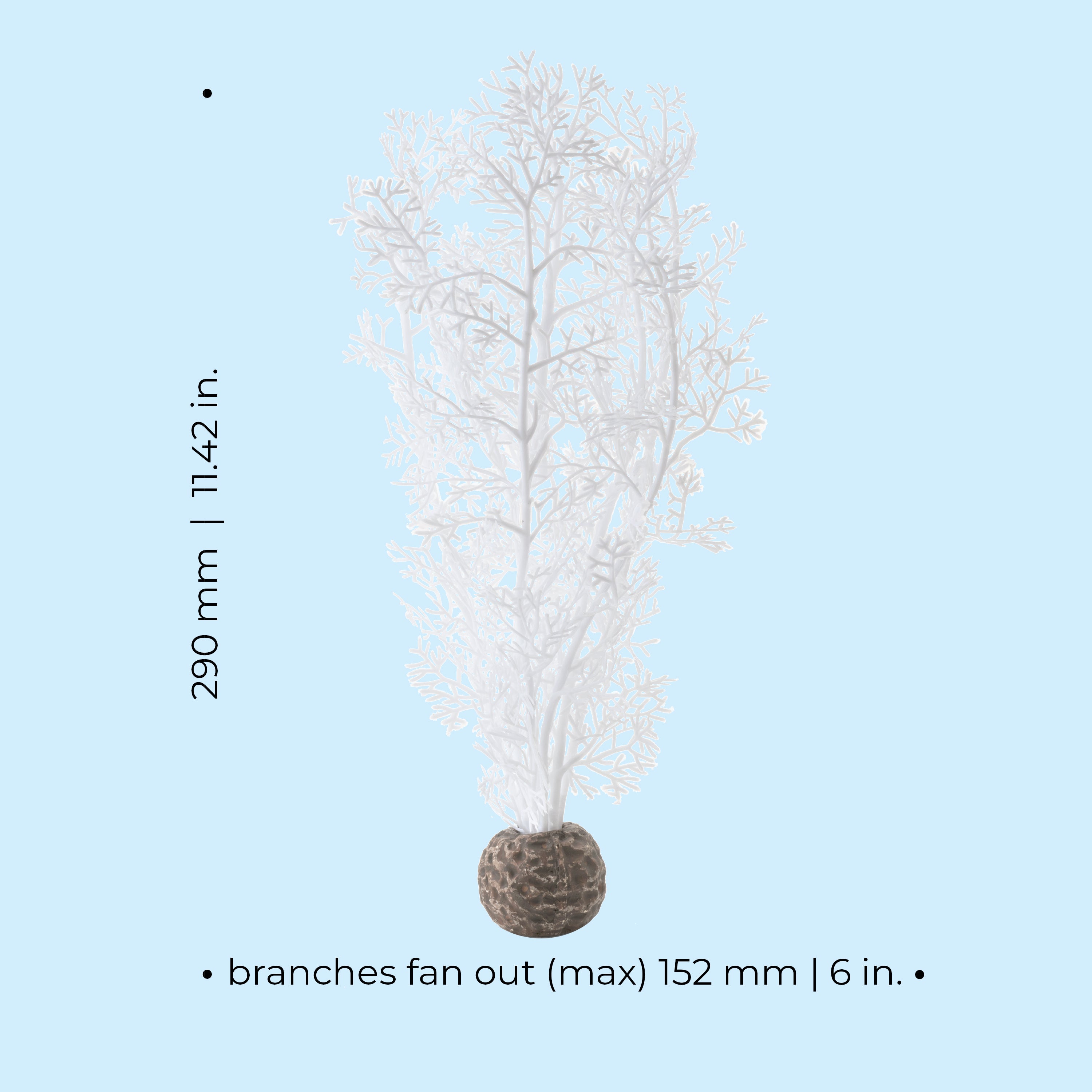 Medium Sea Fan - Dimensions