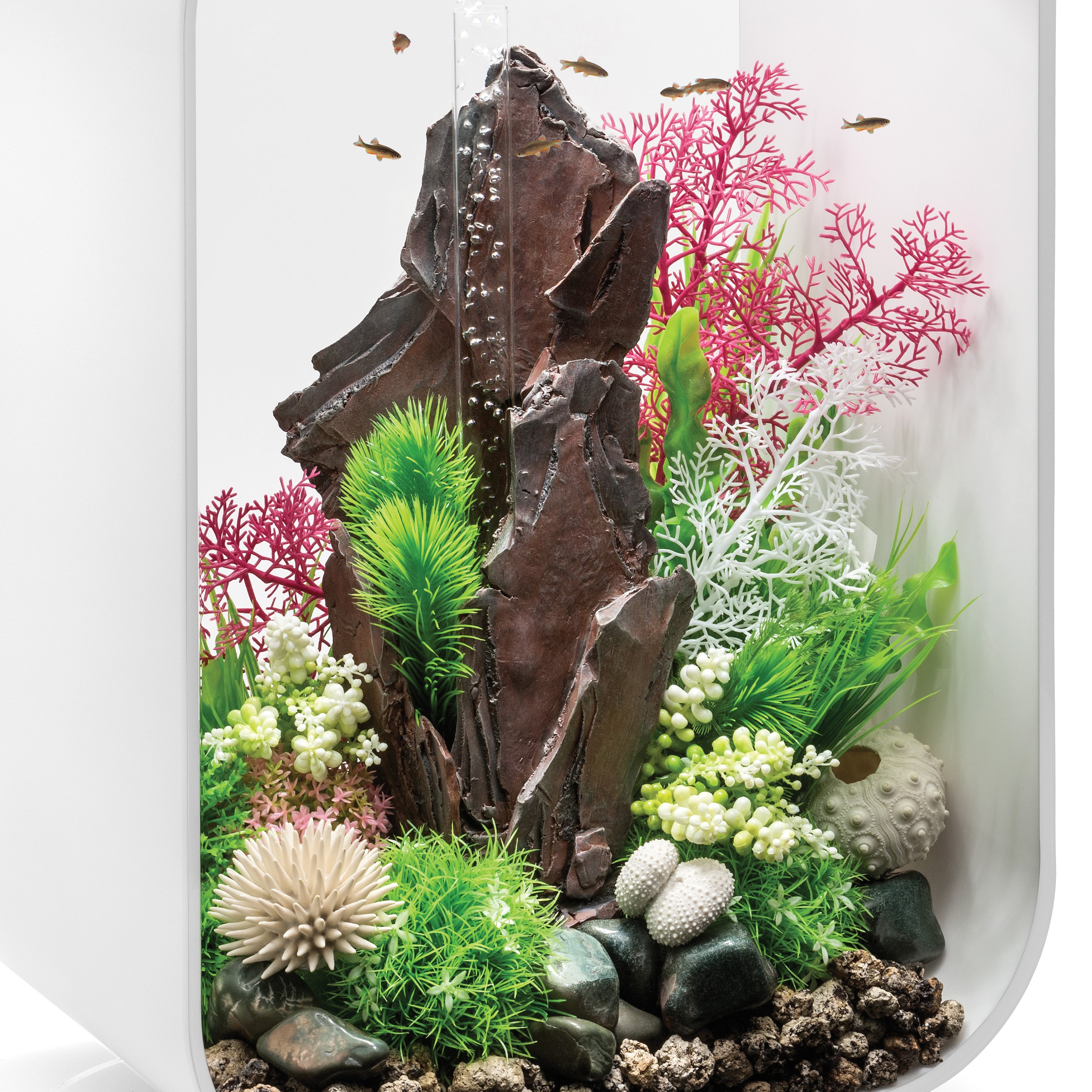 Medium Sea Fan In Use