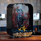 Medium Sea Fan In Use