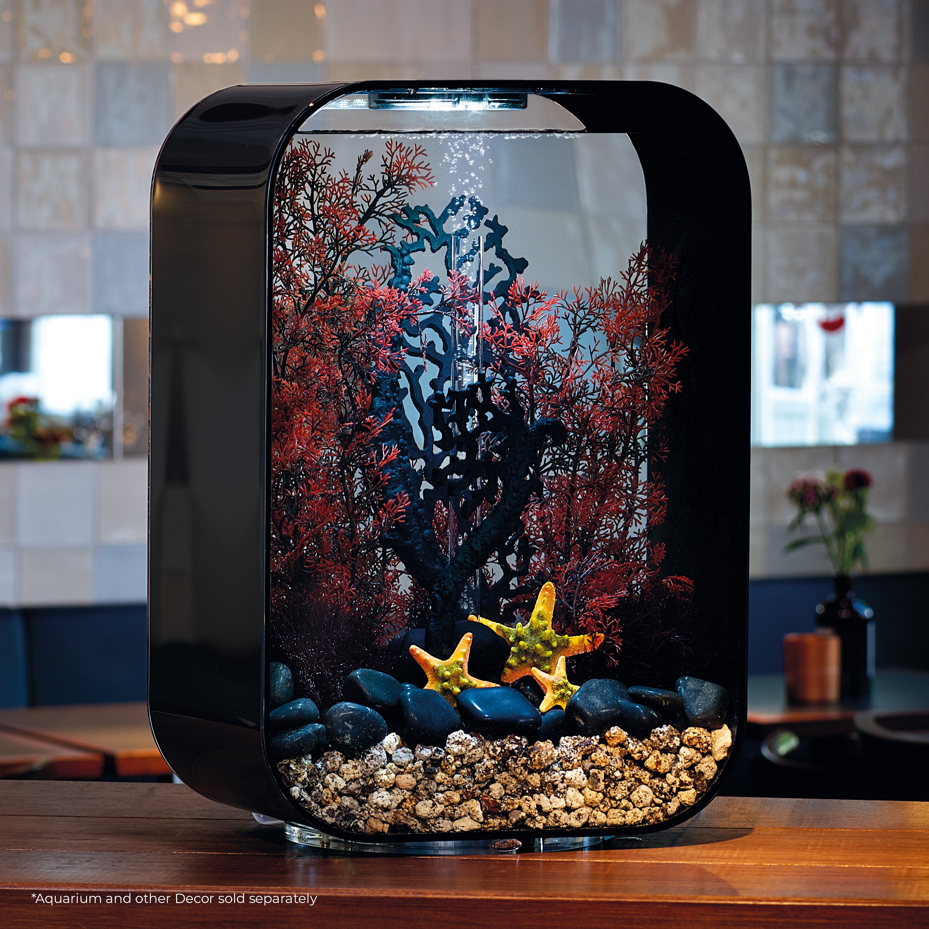 Medium Sea Fan In Use