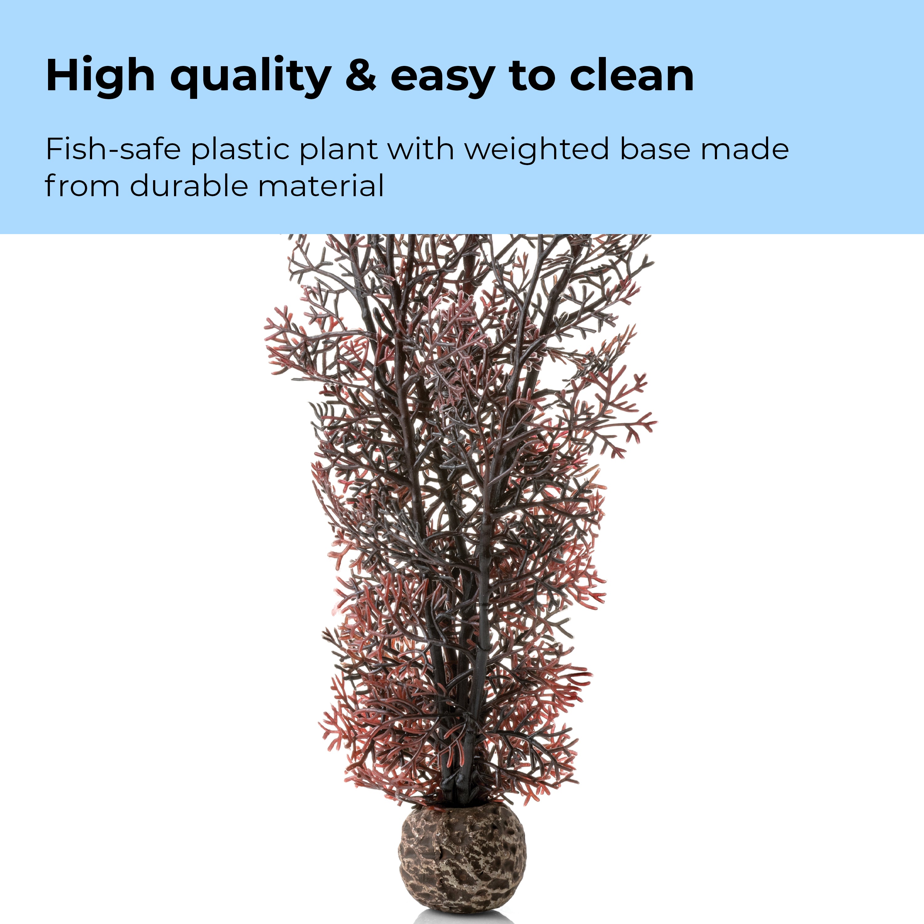 Medium Sea Fan - High quality & easy to clean