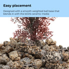 Medium Sea Fan - Easy placement