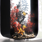 Medium Sea Fan In Use