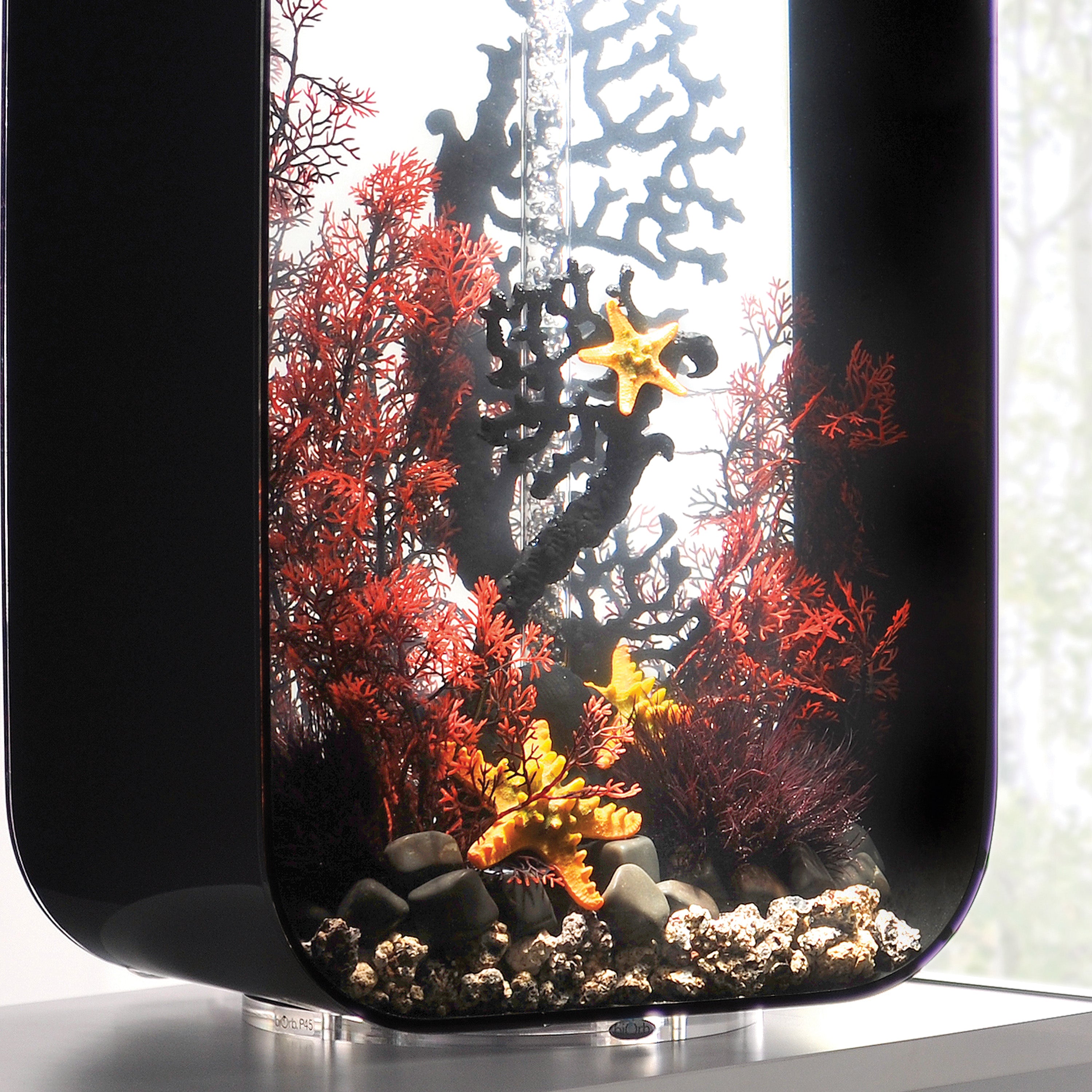 Medium Sea Fan In Use