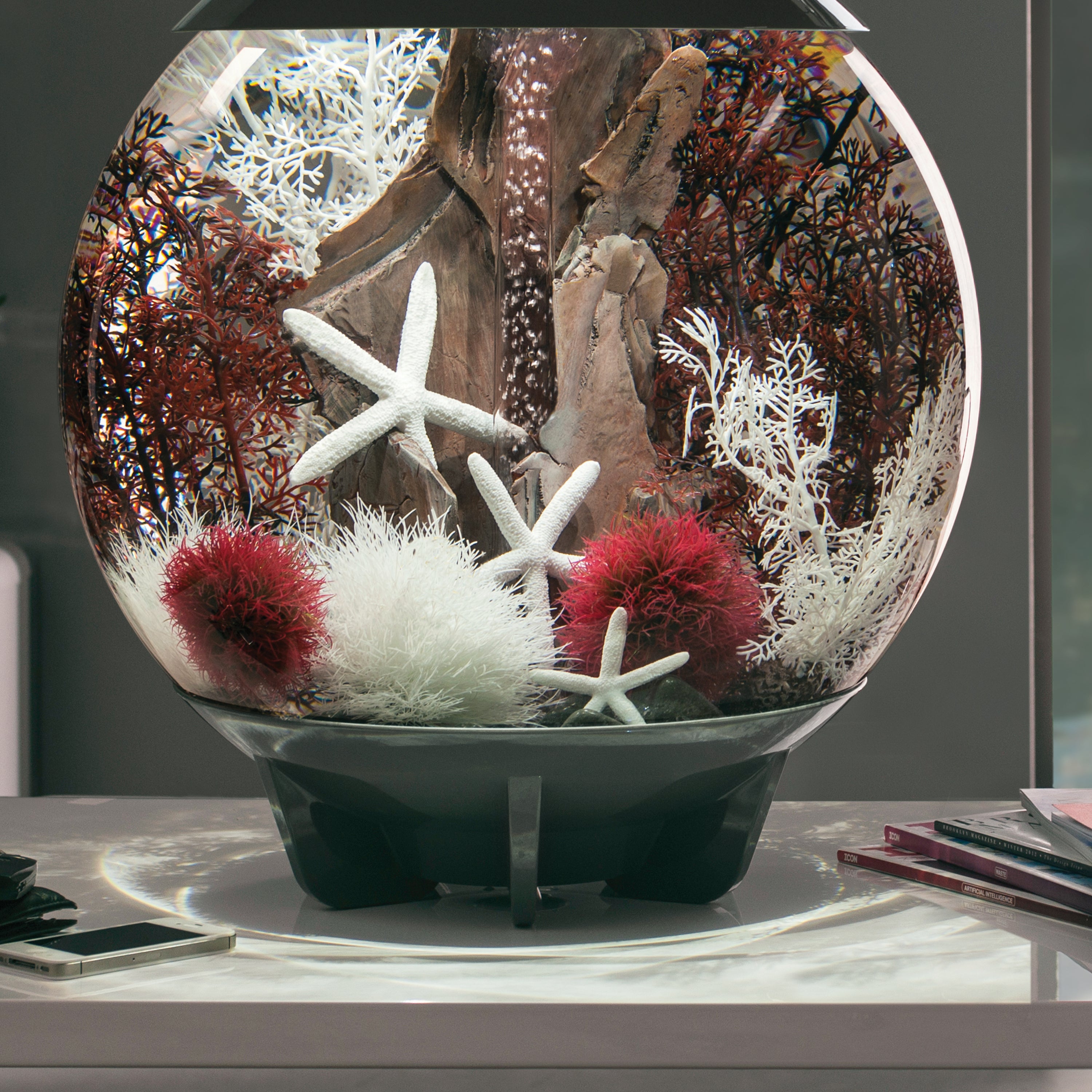 Medium Sea Fan In Use