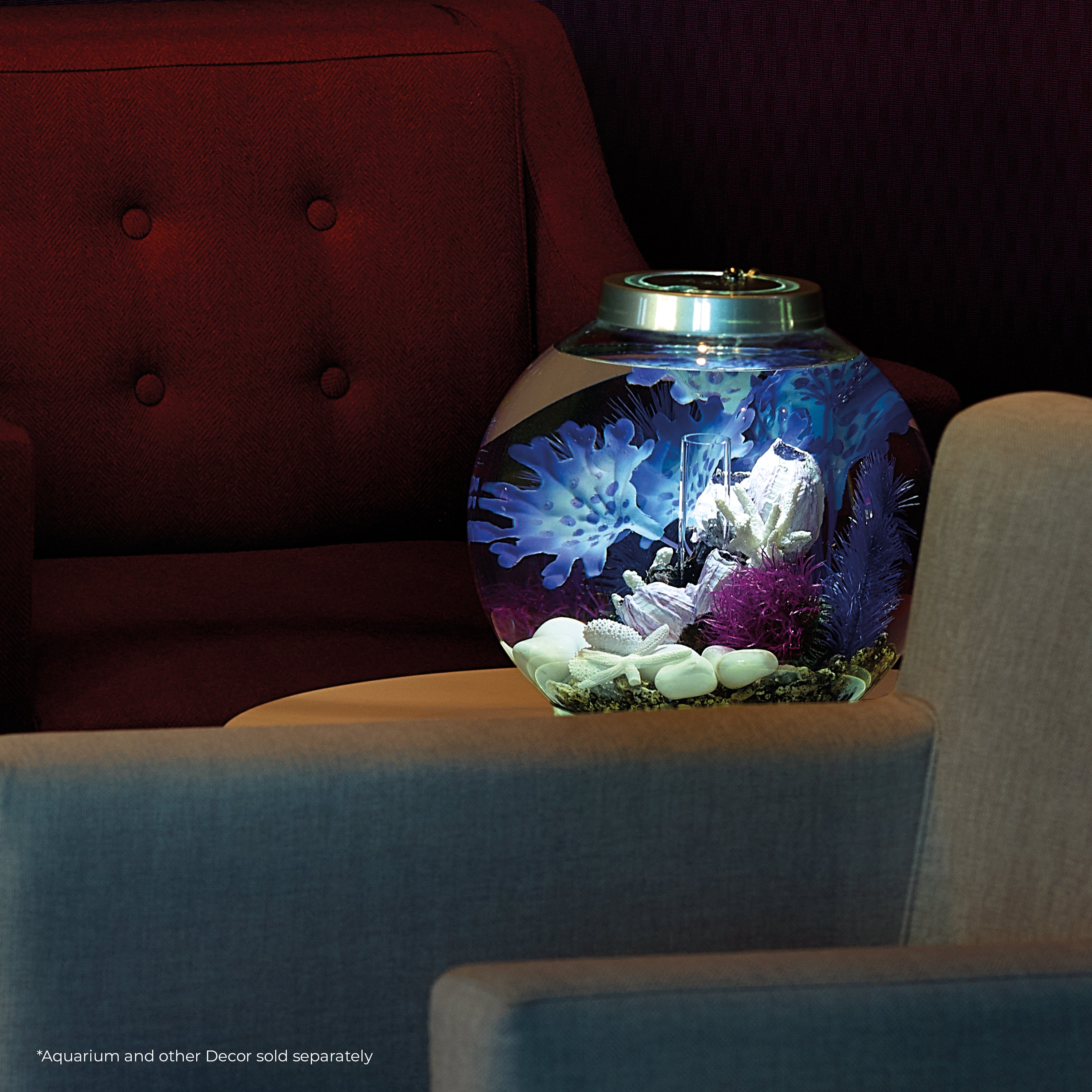 Small Kelp Plant Set In Use