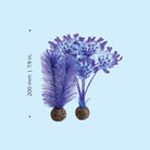 Small Kelp Plant Set - Dimensions