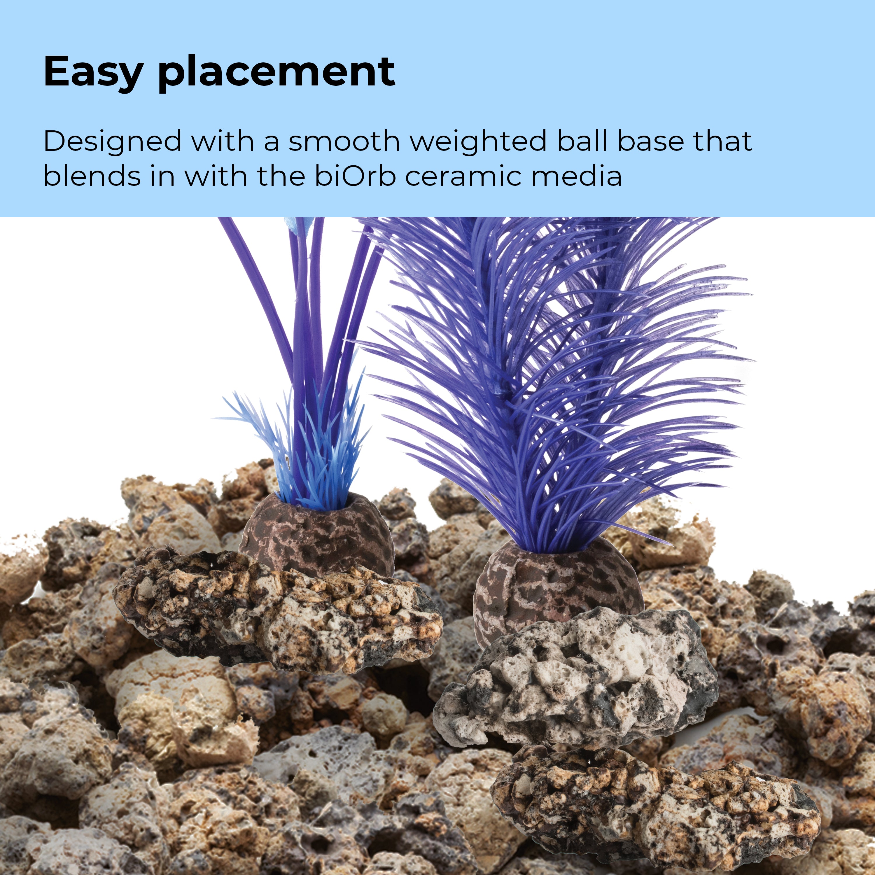 Small Kelp Plant Set - Easy placement