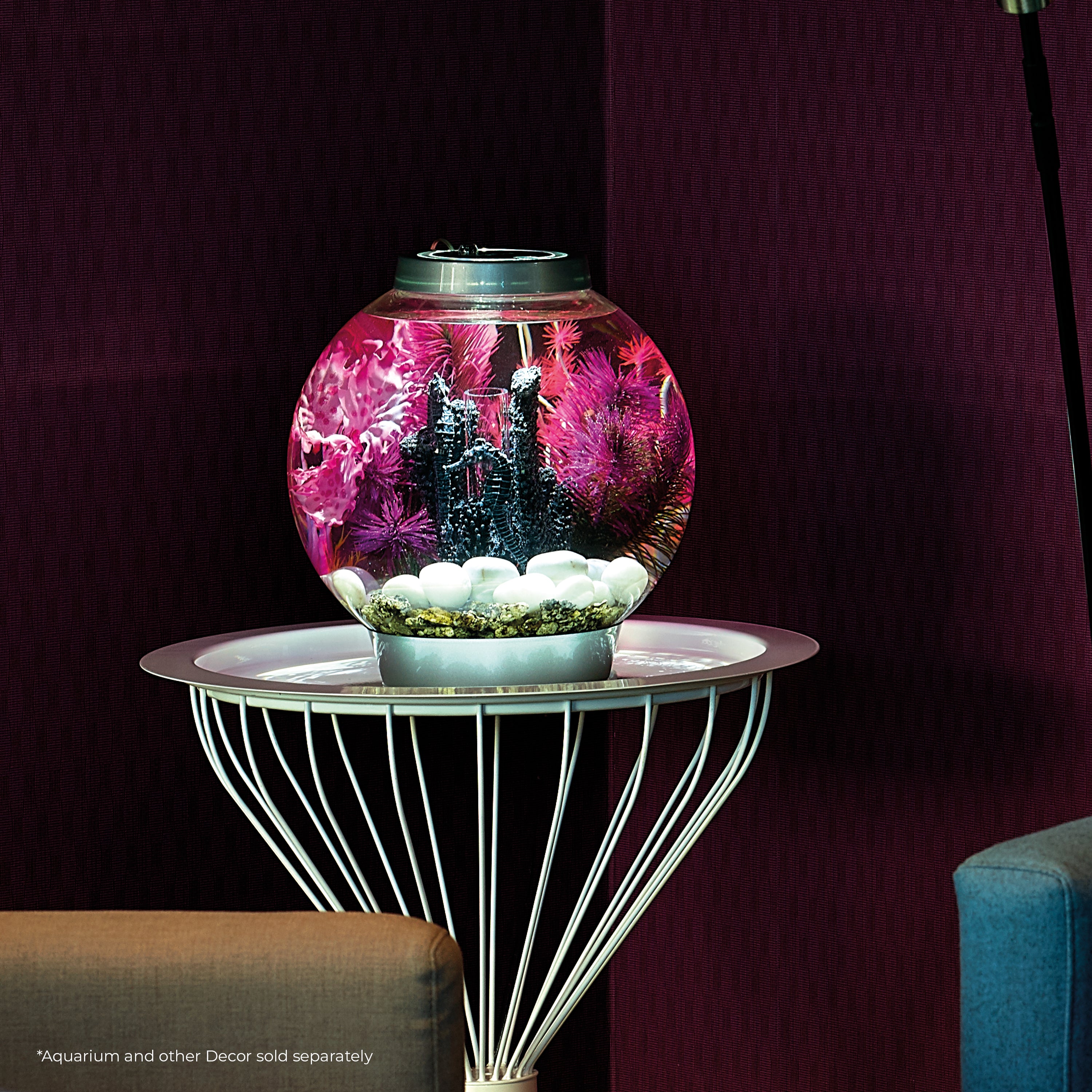 Small Kelp Plant Set In Use