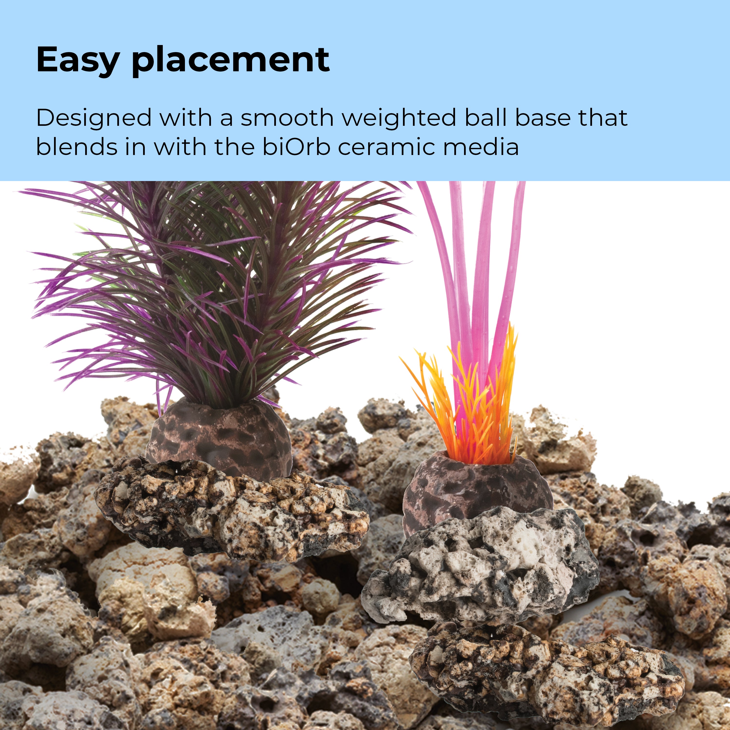 Small Kelp Plant Set - Easy placement