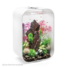Medium Kelp Plant Set of 2 In Use