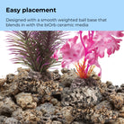 Medium Kelp Plant Set of 2 - Easy placement