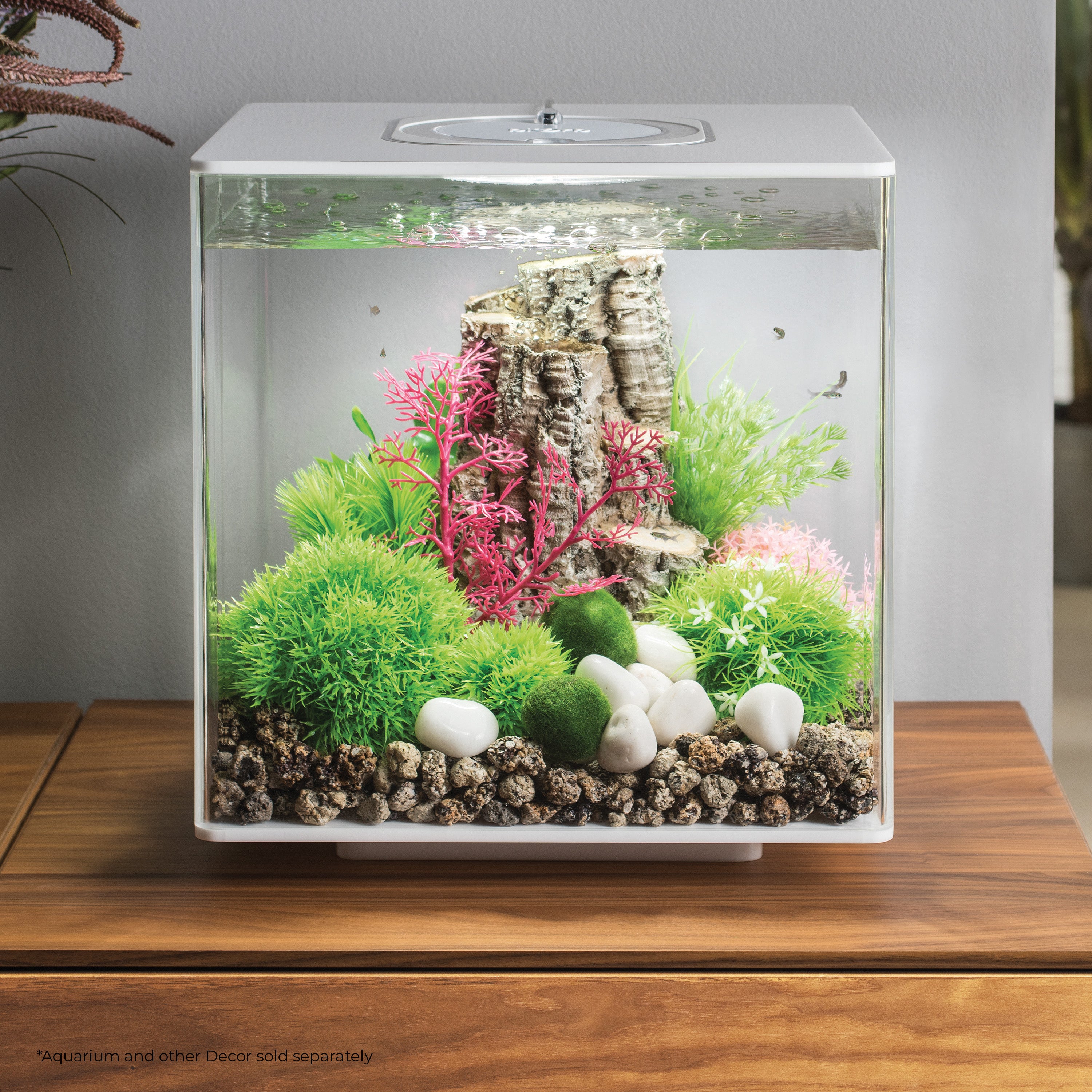 Flower Ball with Daisies In Use