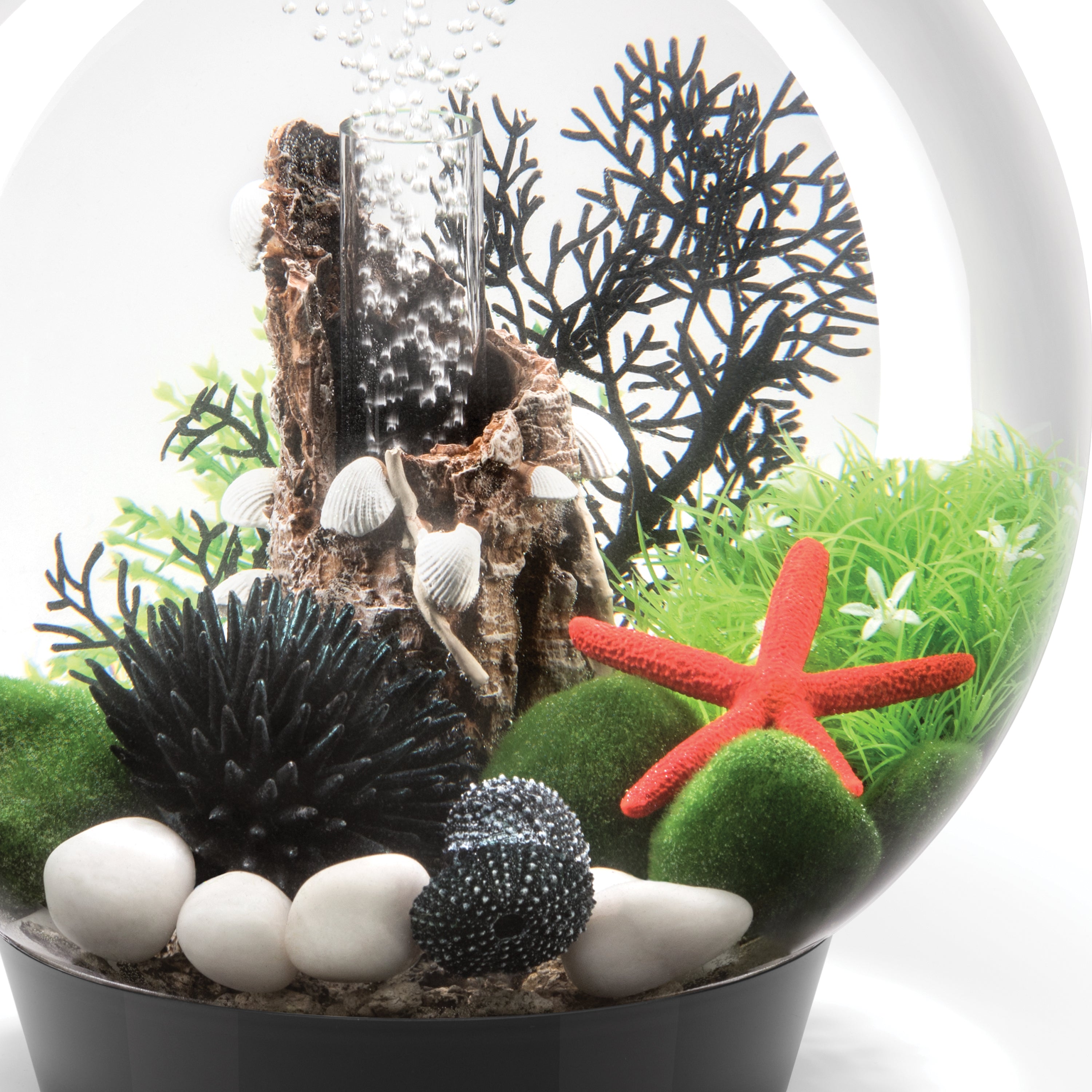 Flower Ball with Daisies In Use