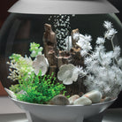 Green Flower Ball In use