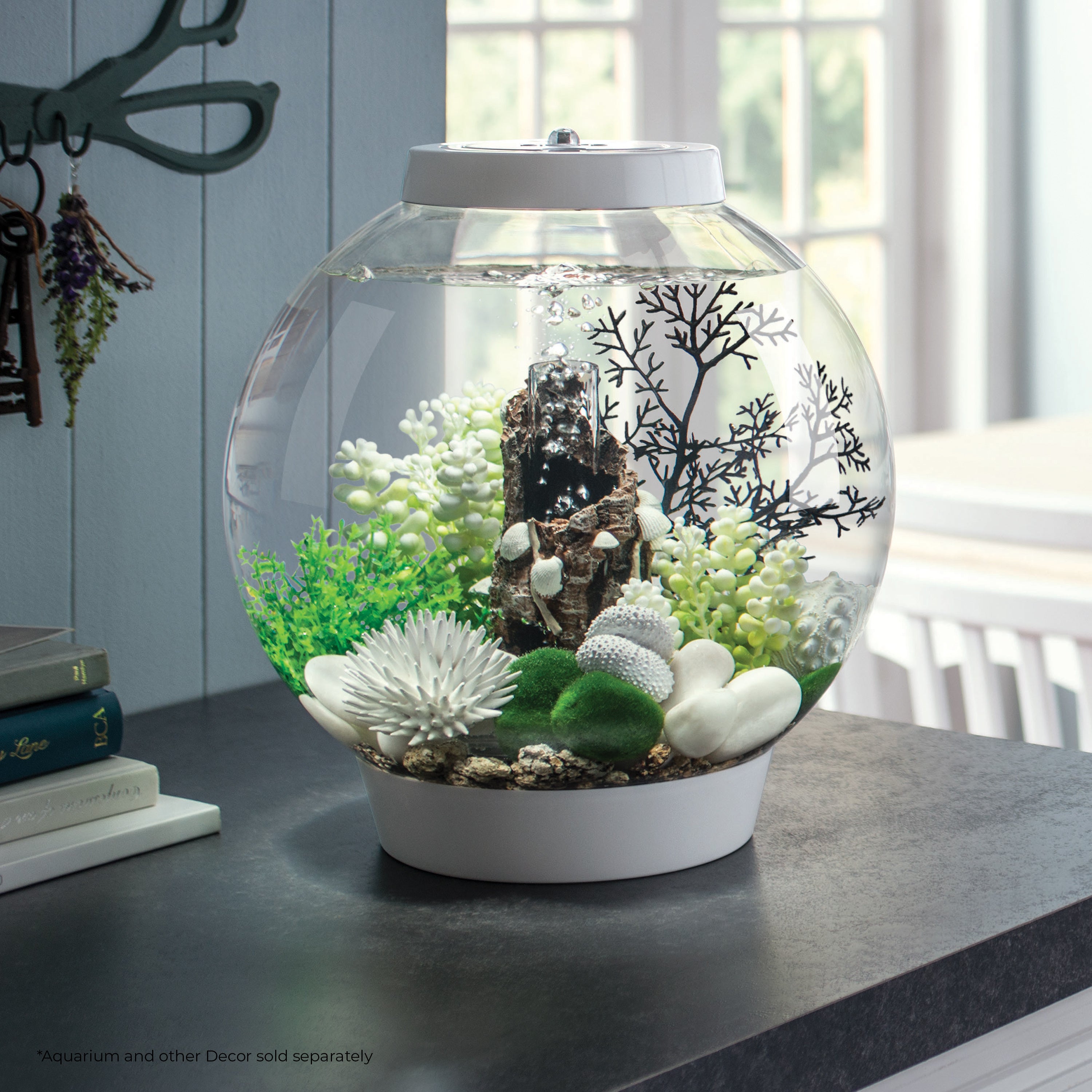 Green Caulerpa In Use