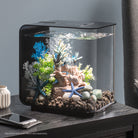 Medium Sea Fan In Use