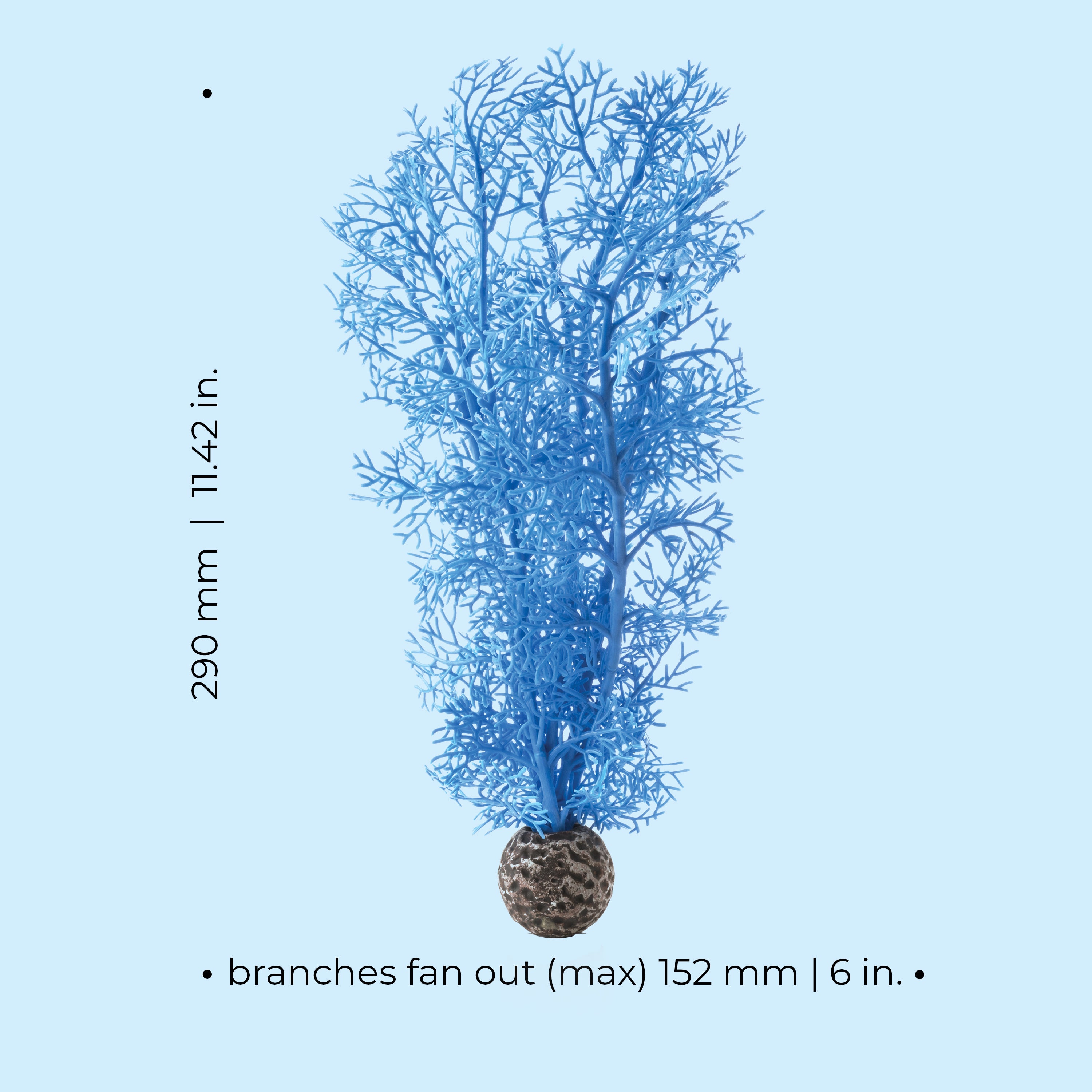 Medium Sea Fan - Dimensions
