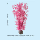 Medium Sea Fan - Dimensions