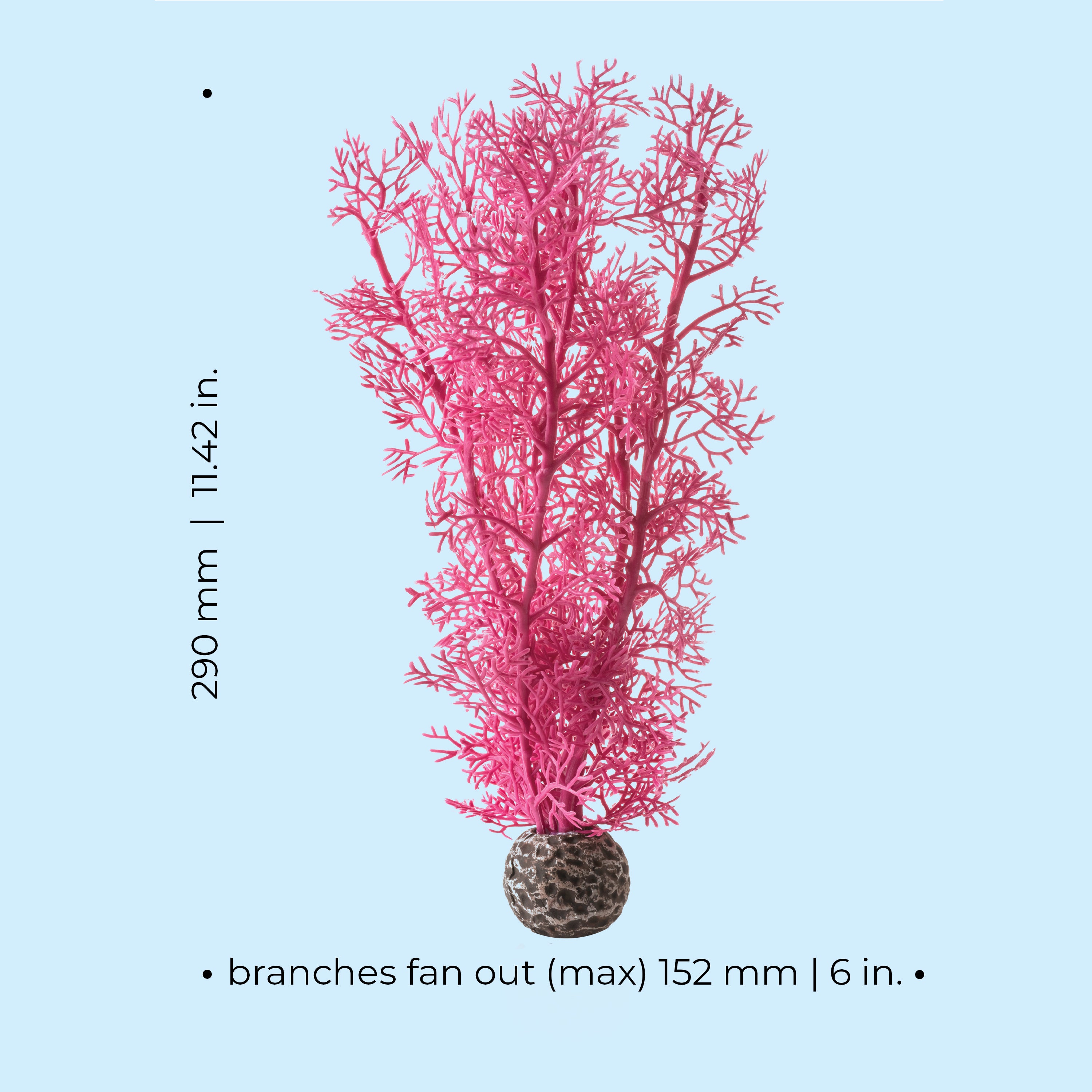 Medium Sea Fan - Dimensions