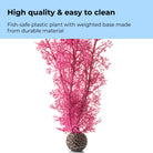 Medium Sea Fan - High quality & easy to clean
