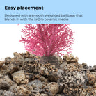 Medium Sea Fan - Easy placement