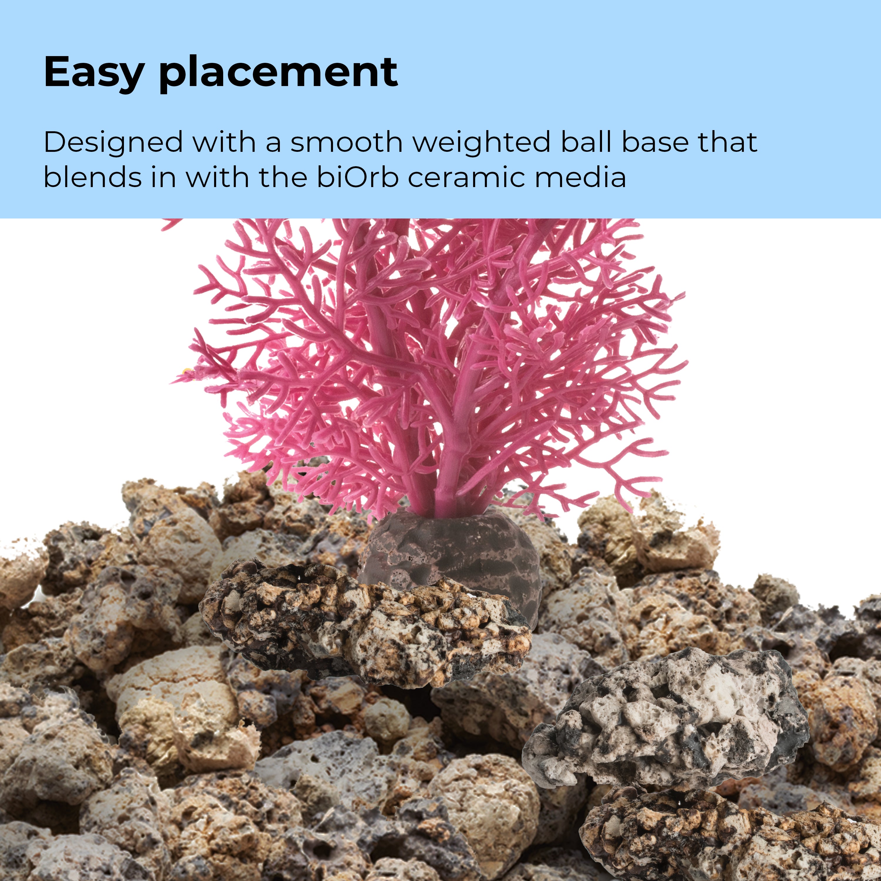 Medium Sea Fan - Easy placement